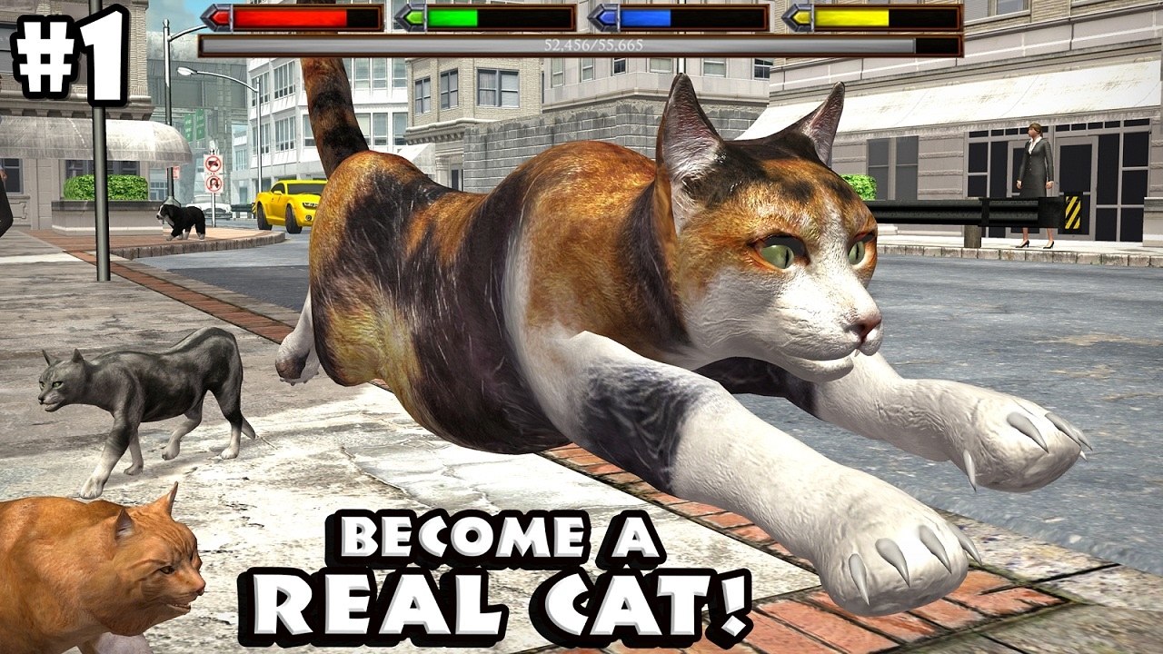 cat simulator free